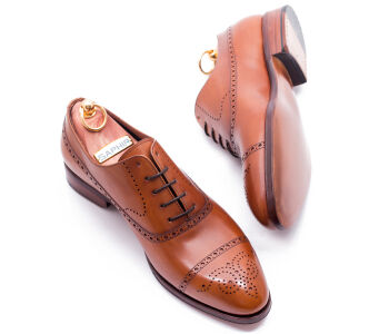 Brogues TAYLOR 542