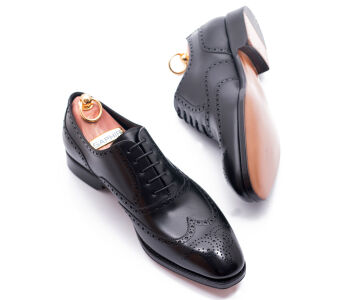 Brogues MORRISON 527