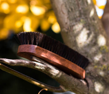 LCA / SAPHIR MDOR Brush Medium 18cm - Średnia szczotka do butów