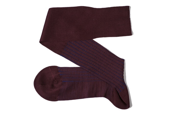 VICCEL / CELCHUK Knee Socks Shadow Stripe Burgundy Royal Blue